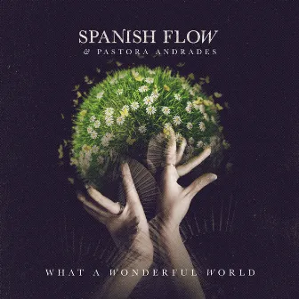 What a Wonderful World by Spanish Flow