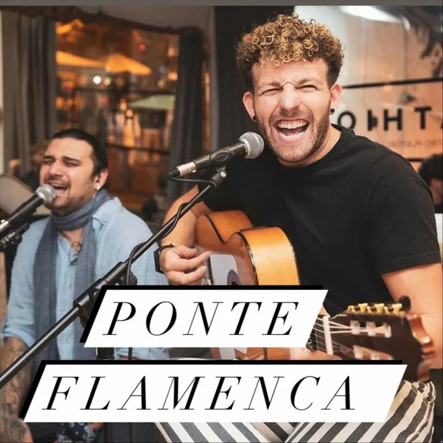 Ponte Flamenca