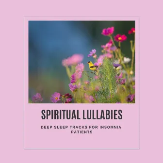 Spiritual Lullabies - Deep Sleep Tracks For Insomnia Patients by Healing Ambience Divine Soul Healing Spiritual Meditation Sounds