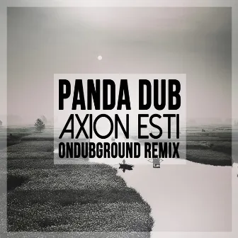 Axion Esti (Ondubground Remix) by Panda Dub