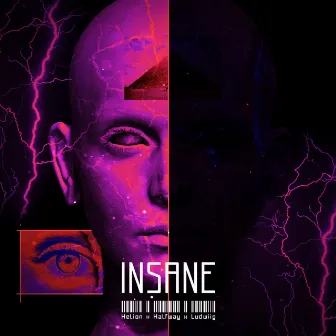 Insane by Ludwiig