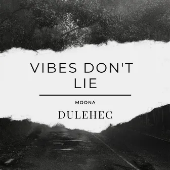 Vibes Don't Lie by Dulehec