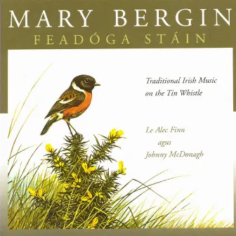 Feadóga Stáin by Mary Bergin