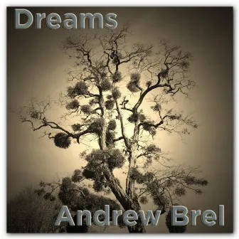 Dreams by Andrew Brel