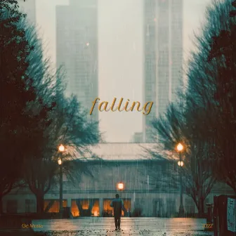 Falling by Gavin Crow