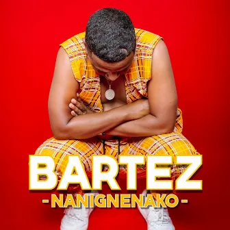 Nanignenako by Bartez