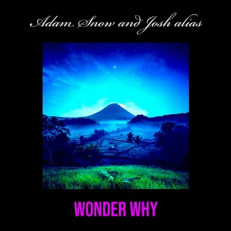 Wonder Why by Adam Snow