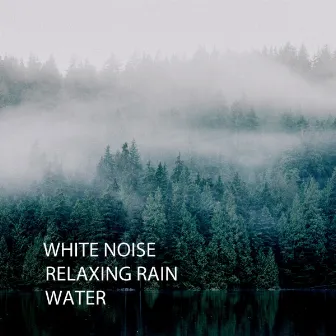 White Noise: Relaxing Rain Water by White Noise