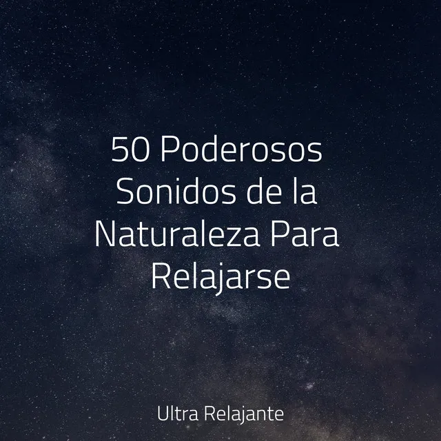 50 Poderosos Sonidos de la Naturaleza Para Relajarse