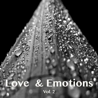 Love & Emotions, Vol. 2 by Peter Bento