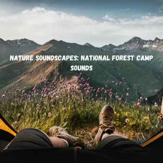 Nature Soundscapes: National Forest Camp Sounds by Easy Listening Background Music