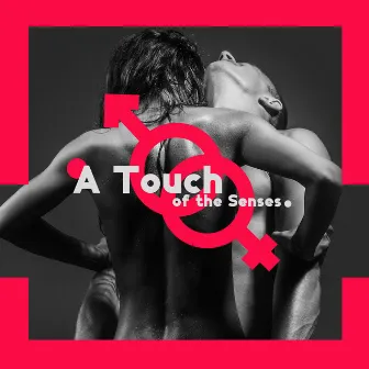 A Touch of the Senses - Sensual Jazz Music by Sensual Chill Collection