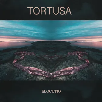 Elocutio by Tortusa