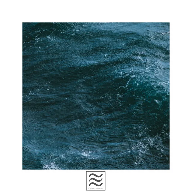 Friendly Calming Sea Tones