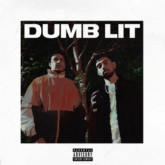 Dumb Lit by Omar A