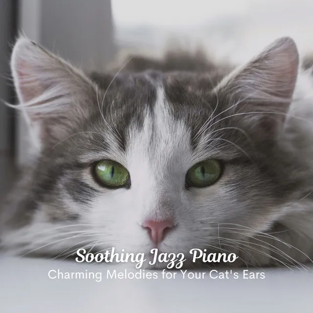 Soothing Jazz Piano: Charming Melodies for Your Cat's Ears