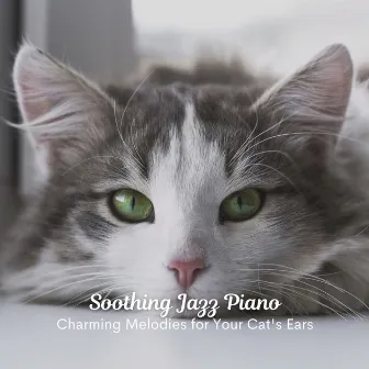 Soothing Jazz Piano: Charming Melodies for Your Cat's Ears by Best Jazz Lounge Bar