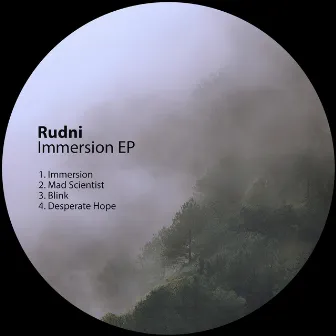 Immersion EP by Rudni