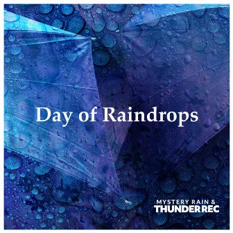 Day of Raindrops by Mystery Rain & Thunder Rec