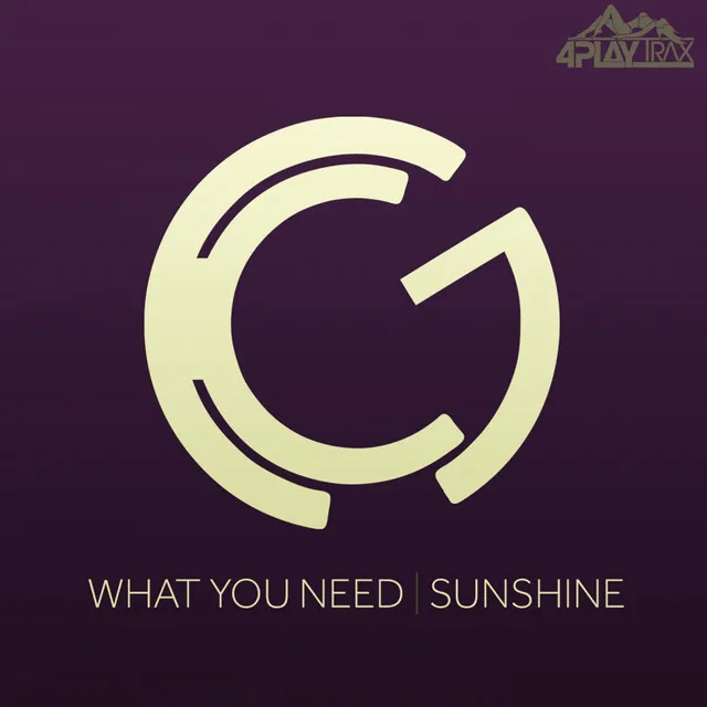 What You Need - Sunshine