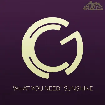 What You Need - Sunshine by Karl G