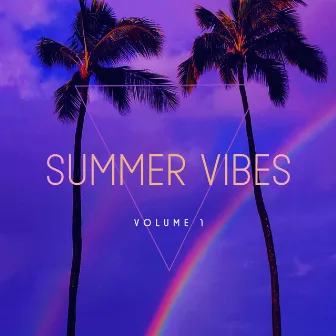 SUMMER VIBES VOLUME ONE by Paradoxsounds