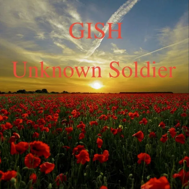 Unknown Soldier