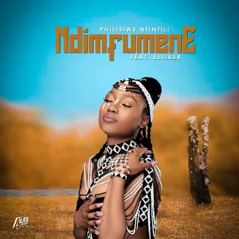 Ndimfumene by Philisiwe Ntintili