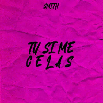 Tu Si Me Cela by Smith