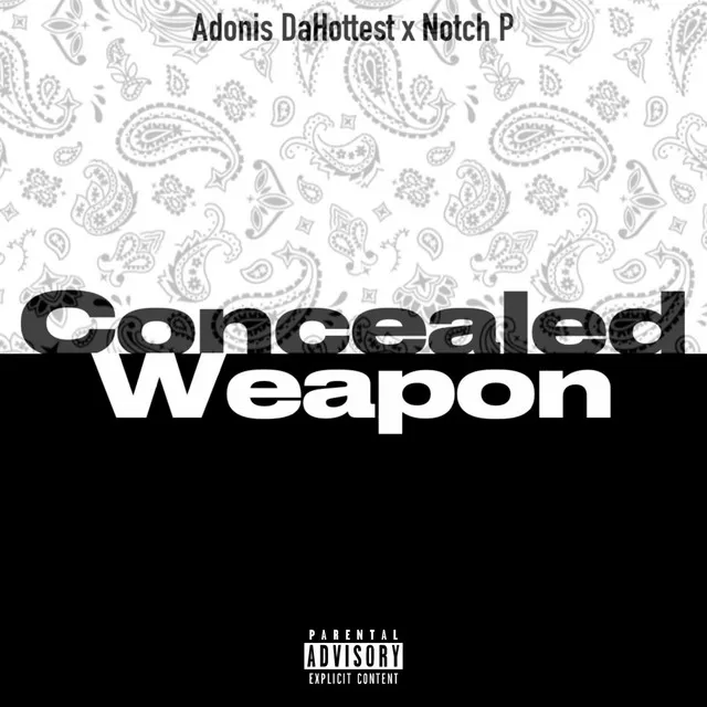 Concealed Weapon