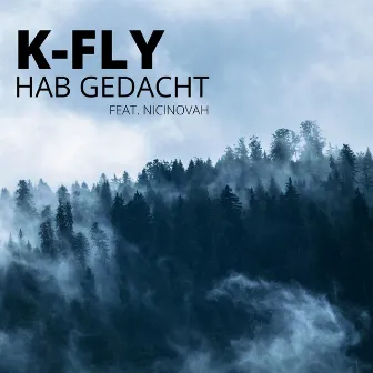 Hab gedacht by K-Fly