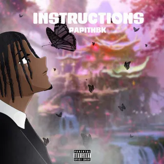 Instructions by Papithbk