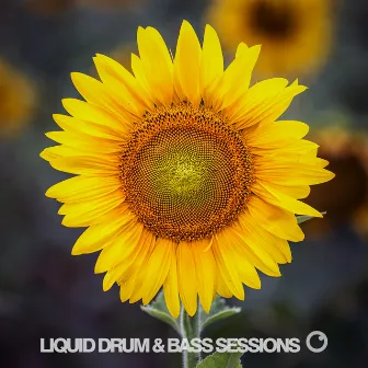 Liquid Drum & Bass Sessions 2020 Vol 7 by Dreazz