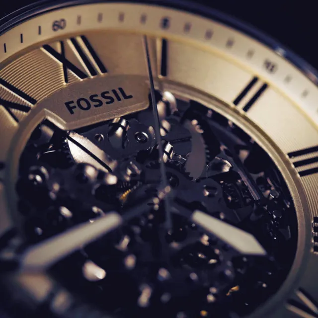 Fossil