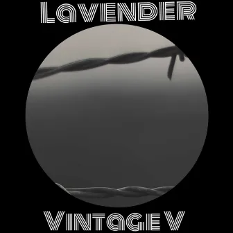 Lavender by Vintage V