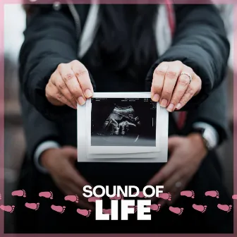 Sound of Life by Womb Sounds Looped