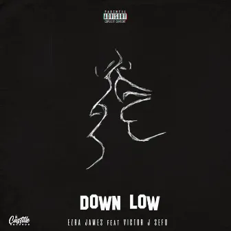 DOWN LOW by Victor J Sefo