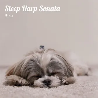 Sleep Harp Sonata by Biko