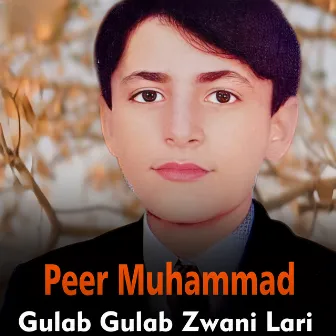 Gulab Gulab Zwani Lari by Peer Muhammad Syed Ullah Gurbaz