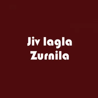 Jiv lagla Zurnila by Radha Khude