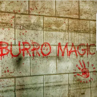 The Donkey Show by Burro Magic