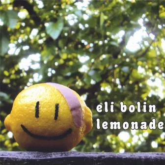 Lemonade by Eli Bolin