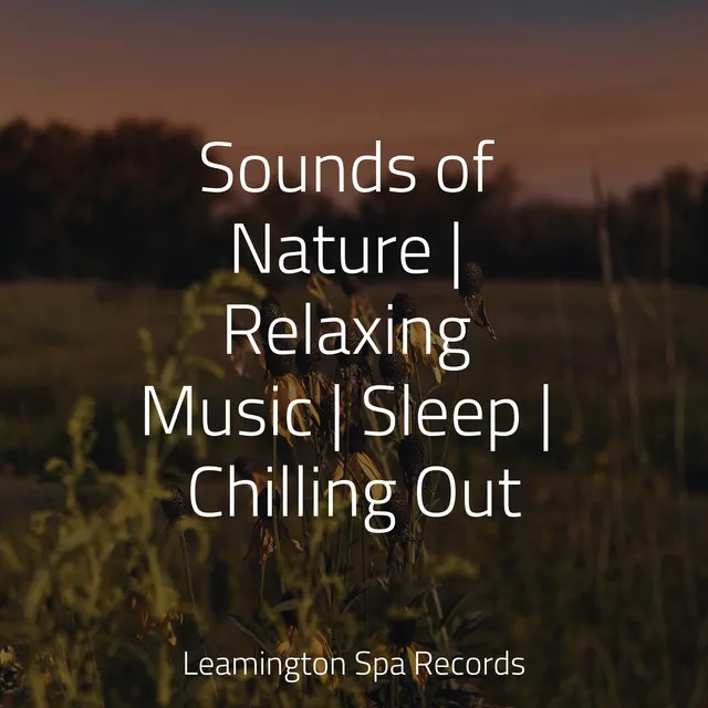 Sounds of Nature | Relaxing Music | Sleep | Chilling Out