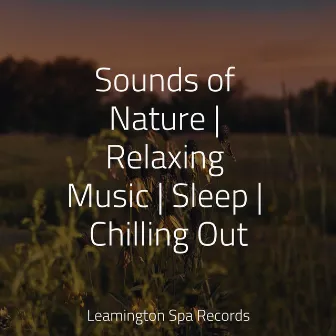 Sounds of Nature | Relaxing Music | Sleep | Chilling Out by Sons da Natureza