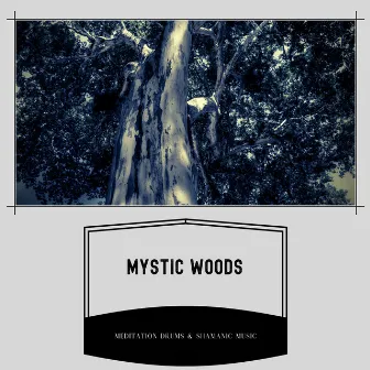 Mystic Woods: Whispers of the Wilderness by Meditation Drums & Shamanic Music