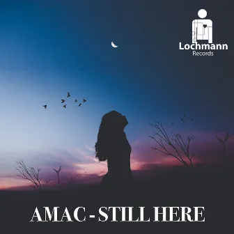 Still Here by Amac