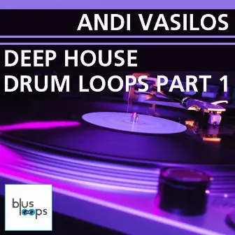 Deep House Drum Loops Part 1 by Andi Vasilos