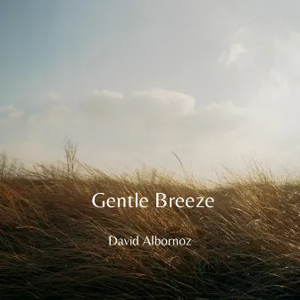 Gentle Breeze by David Albornoz