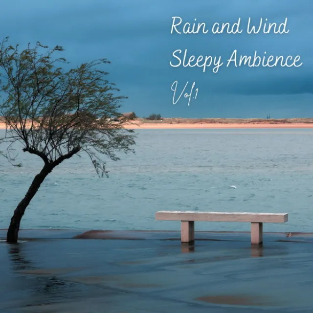 Windy Thunderstorm for Fast Sleep