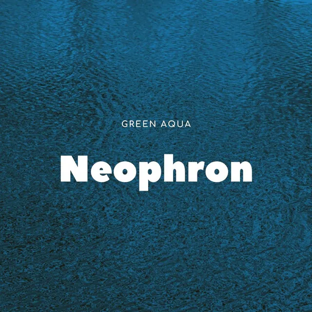 Neophron - Extended Version